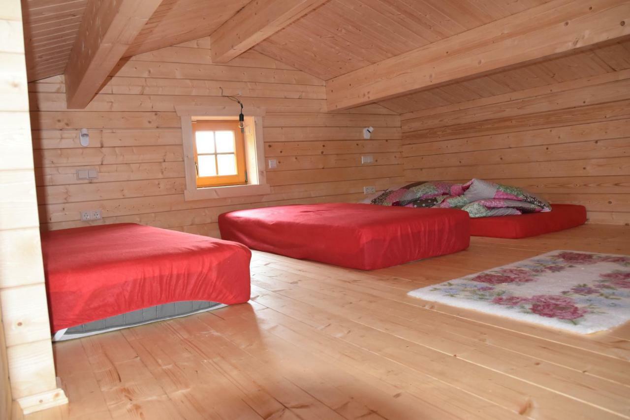 Erzgebirgsholzhaus Am Lugstein Villa Altenberg Bagian luar foto